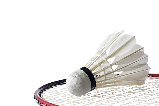 在本轮比赛 在本轮比赛