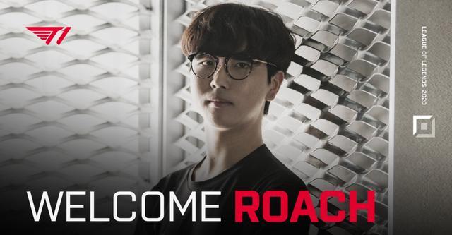 选择更稳的 选择更稳的